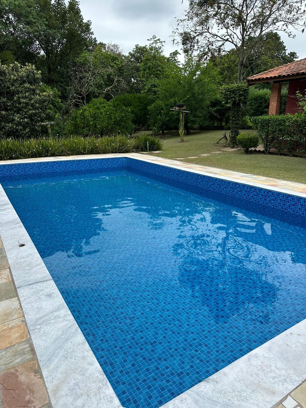 Vinil Estampa Mod. Chameleon Blue - Alliance - Imagem 4