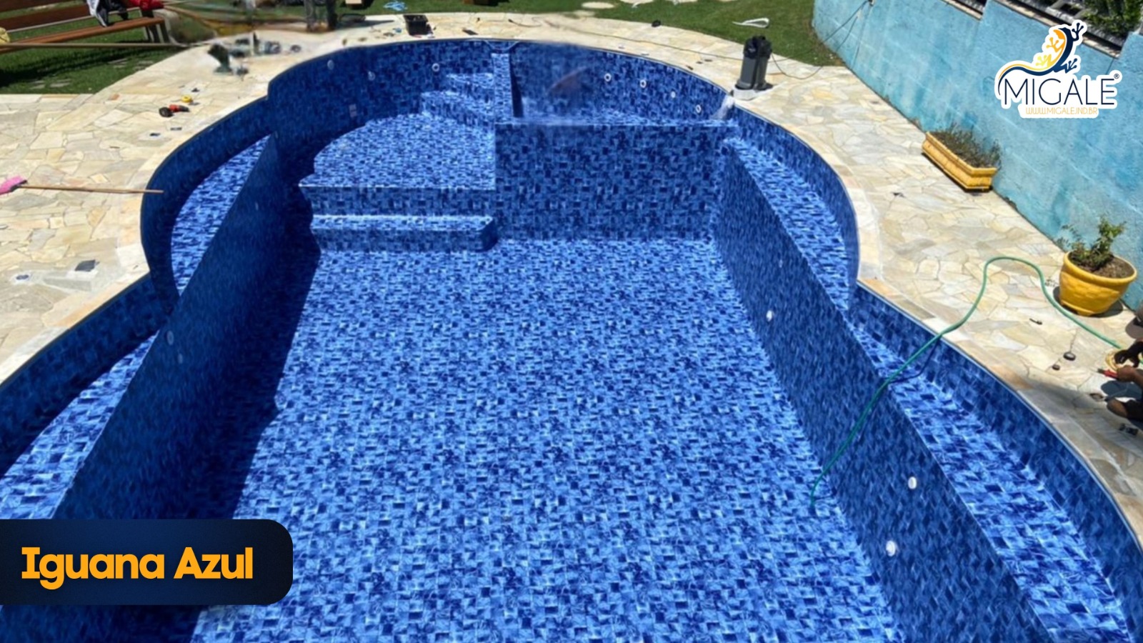 Vinil Estampa Mod. Iguana Azul - Alliance - Imagem 4