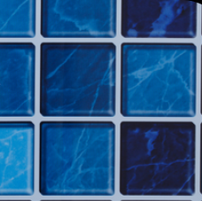Vinil Estampa Mod. Blue Master - Alliance